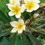 Diana Penzion 3*