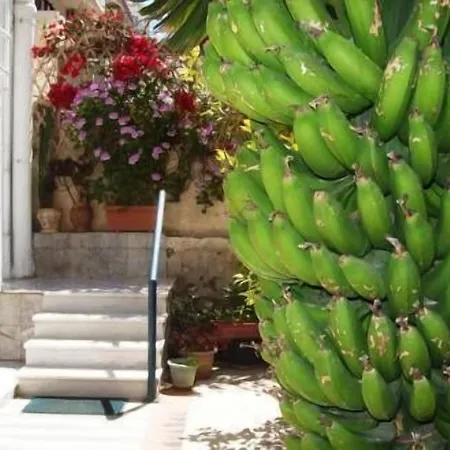 Diana Guest house 4*